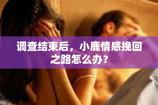 调查结束后，小鹿情感挽回之路怎么办？