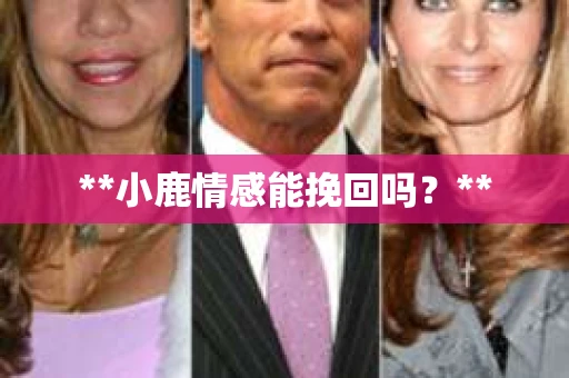 **小鹿情感能挽回吗？**