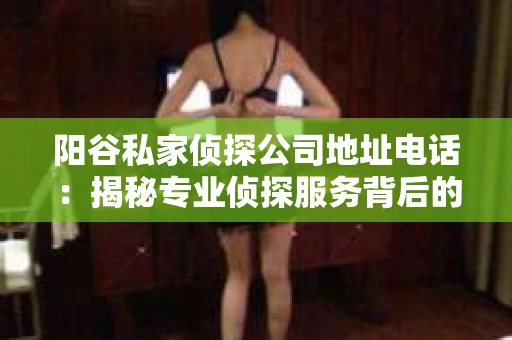 阳谷私家侦探公司地址电话：揭秘专业侦探服务背后的故事