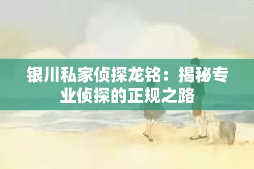 银川私家侦探龙铭：揭秘专业侦探的正规之路