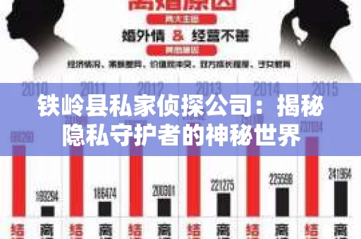 铁岭县私家侦探公司：揭秘隐私守护者的神秘世界