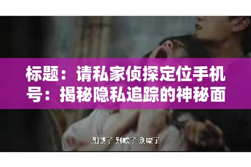 标题：请私家侦探定位手机号：揭秘隐私追踪的神秘面纱
