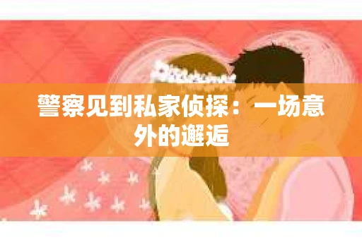 警察见到私家侦探：一场意外的邂逅