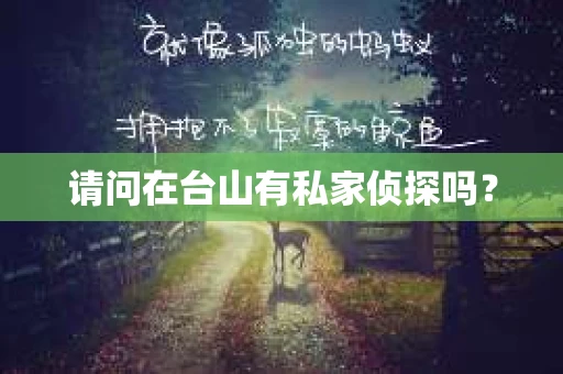 请问在台山有私家侦探吗？
