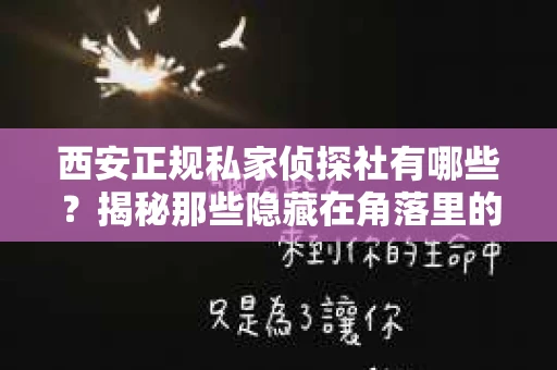 西安正规私家侦探社有哪些？揭秘那些隐藏在角落里的神秘力量