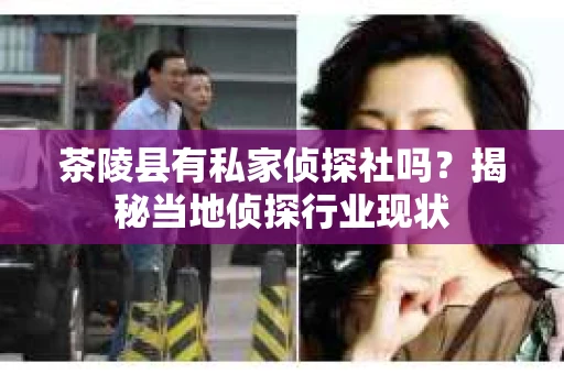 茶陵县有私家侦探社吗？揭秘当地侦探行业现状
