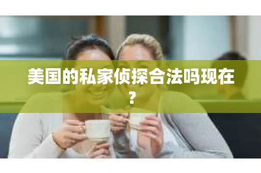 美国的私家侦探合法吗现在？