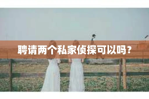 聘请两个私家侦探可以吗? 聘请两个私家侦探可以吗?