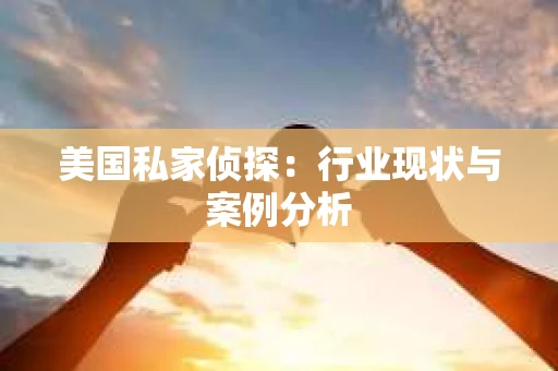 美国私家侦探：行业现状与案例分析