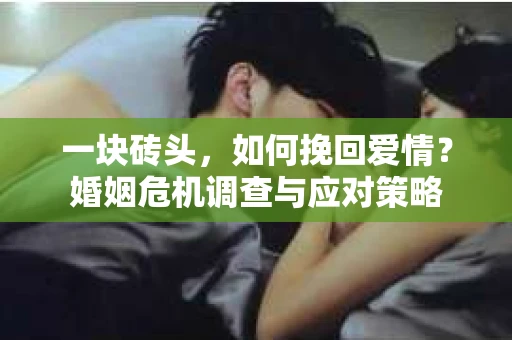 一块砖头，如何挽回爱情？婚姻危机调查与应对策略