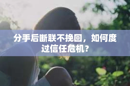 分手后断联不挽回，如何度过信任危机？