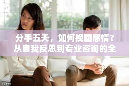 分手五天，如何挽回感情？从自我反思到专业咨询的全面解决方案