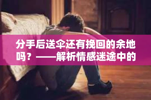 分手后送伞还有挽回的余地吗？——解析情感迷途中的决策